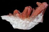 Natural Red Quartz Crystals - Morocco #70763-1